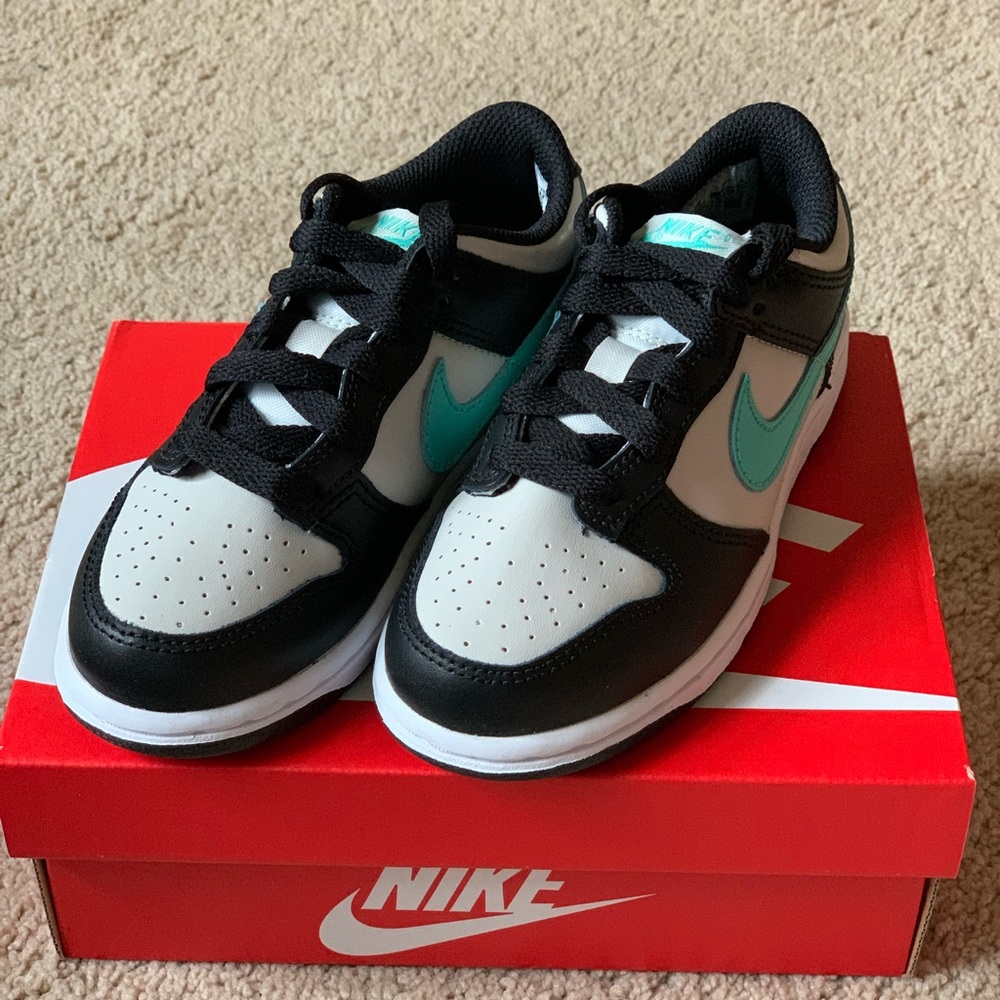 Nike Dunks - 12c